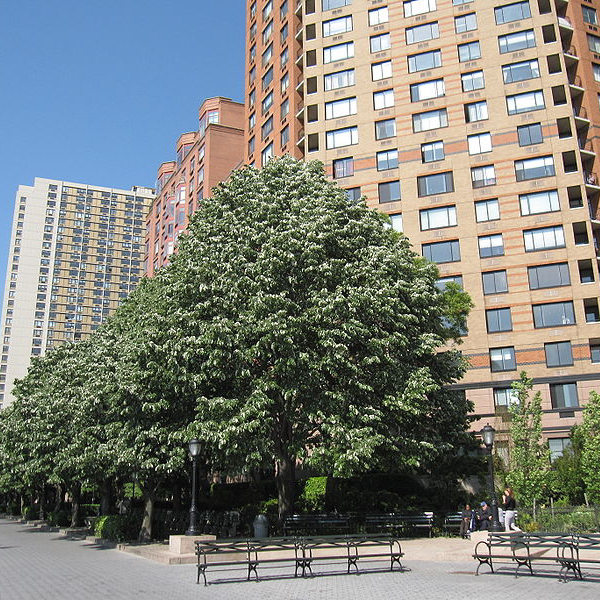 BATTERY PARK CITY