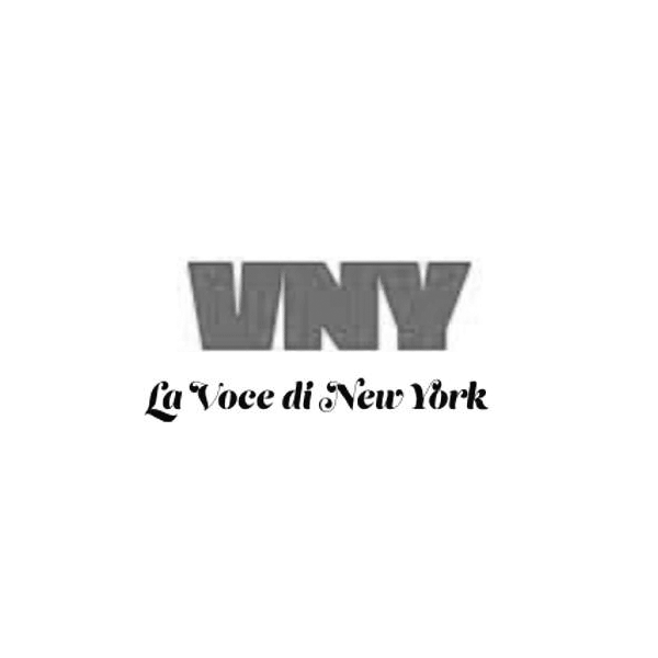 logo-vny